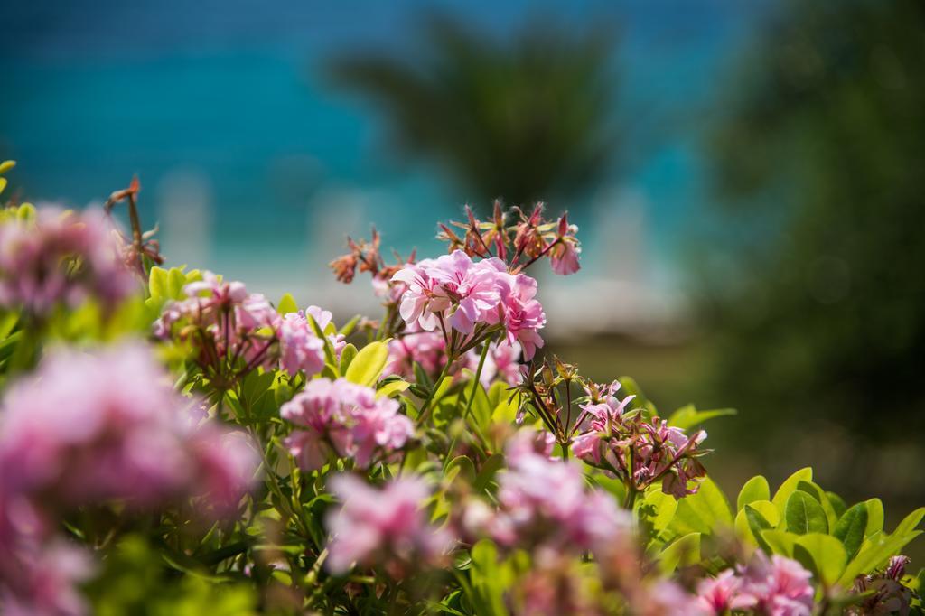 Krouzeri Beach Apartments Nisaki  Cameră foto